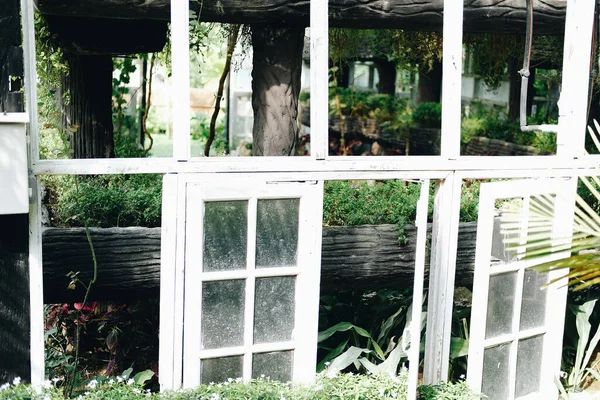 Gazebo Madeira Pérgula Para Cultivo Árvores Plantas Jardim — Fotografia de Stock