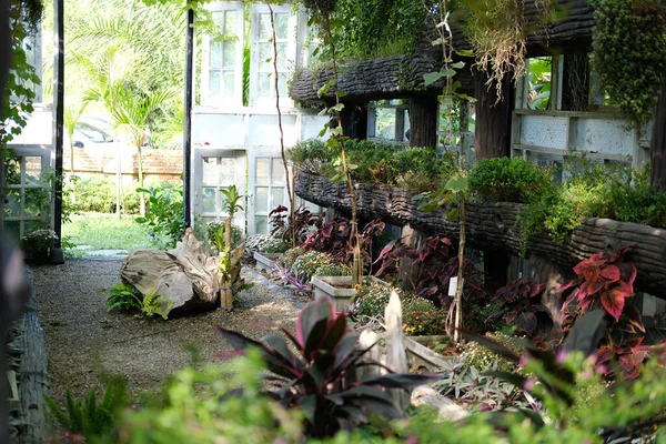Flower Plant Tree Growing Decorating Wooden Gazebo Pergola Garden — Stockfoto