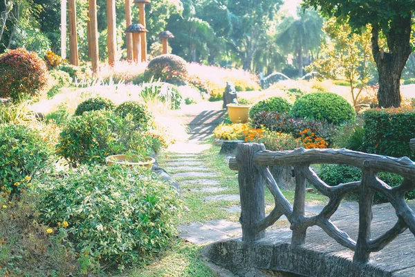 Dekorowanie Roślin Parku Botanicznym — Zdjęcie stockowe