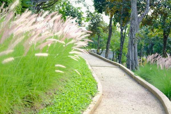 小山草场旁的小径 — 图库照片