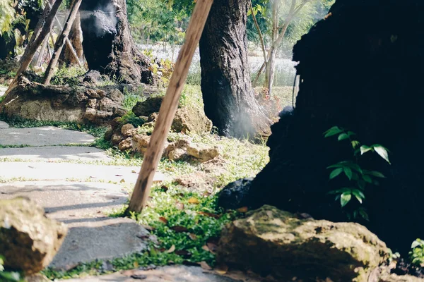 Tronco Árbol Grande Jardín Flores Parque — Foto de Stock