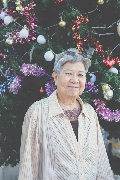Asiático Viejo Anciano Mujer Mayor Mayor Hembra Con Navidad Árbol — Foto de Stock