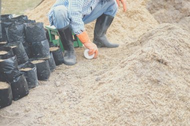 bitki yetiştirmek için substrat materyaller. tohum nakli için tarım torbasında toprak ve gübre.