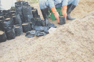 bitki yetiştirmek için substrat materyaller. tohum nakli için tarım torbasında toprak ve gübre.