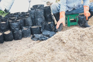 bitki yetiştirmek için substrat materyaller. tohum nakli için tarım torbasında toprak ve gübre.