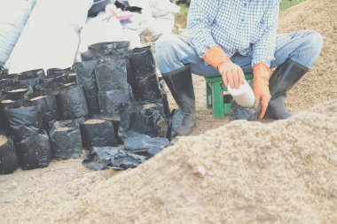 bitki yetiştirmek için substrat materyaller. tohum nakli için tarım torbasında toprak ve gübre.