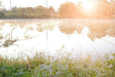 Bataklık gölü üzerinde sisli çimenler. Sisli bir sabah