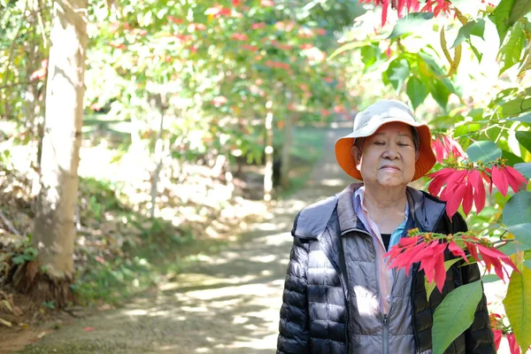 亚洲老年老年妇女在花圃中休息休息 老年人休闲生活方式 — 图库照片