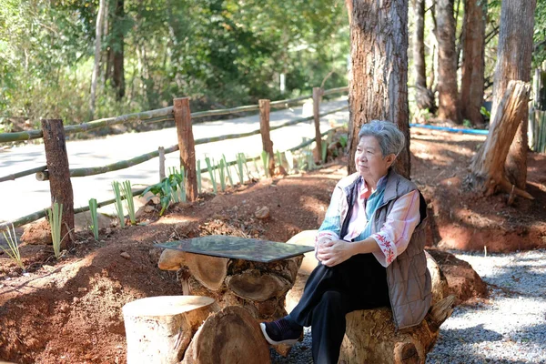Asiático Anciana Anciana Anciana Mujer Mayor Descansando Relajante Parque Estilo — Foto de Stock