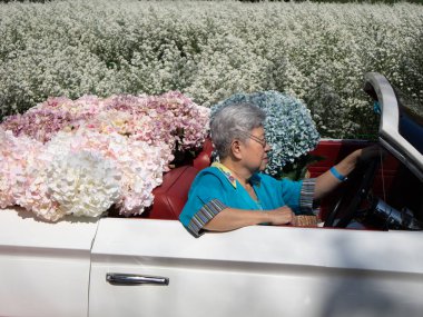 Yaşlı, Asyalı yaşlı kadın yaşlı yaşlı kadın. Yaşlı kadın. Antika klasik bir arabaya biniyor.