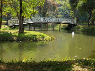 Bahçe parkındaki göl boyunca tahta köprü.