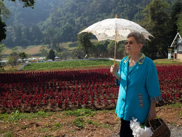 亚洲老年老年妇女在花圃中休息休息 老年人休闲生活方式 — 图库照片