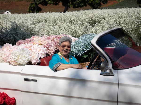 亚洲老年老年女性老年女性老年骑复古经典汽车与水仙花在菜园 — 图库照片