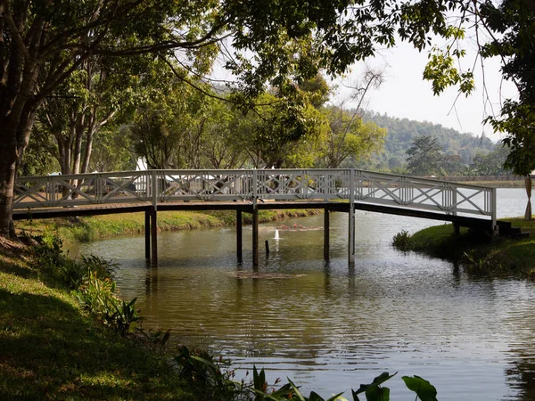 ガーデンパークの池に架かる白い木製の橋 — ストック写真