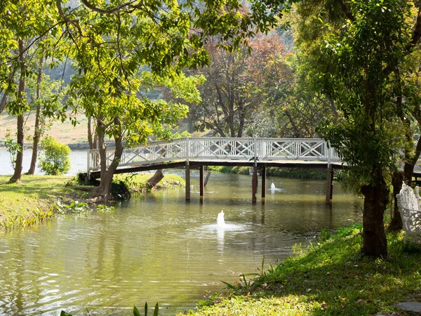 Puente Madera Blanco Footbrige Través Del Lago Del Estanque Parque — Foto de Stock