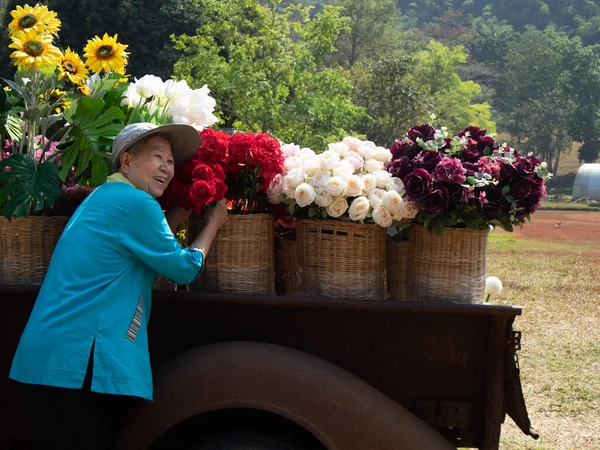亚洲的老年老年妇女 在花园里抱着花 老年人休闲生活方式 — 图库照片