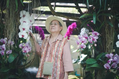 Asyalı yaşlı yaşlı kadın yaşlı kadın gül bahçesinde dinleniyor. son sınıf eğlence yaşam tarzı
