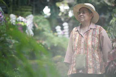 Asyalı yaşlı yaşlı kadın yaşlı kadın gül bahçesinde dinleniyor. son sınıf eğlence yaşam tarzı