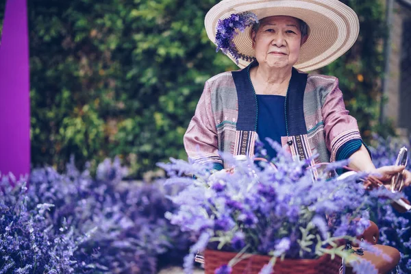 亚洲老年老年妇女在薰衣草花园休息休息 老年人休闲生活方式 — 图库照片