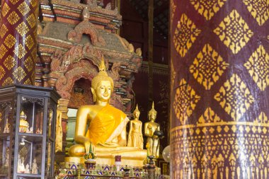 Tay Sanat kutubun boyama ile altın buddha