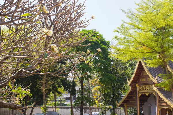 Сантехника с храмом тайской ланны — стоковое фото