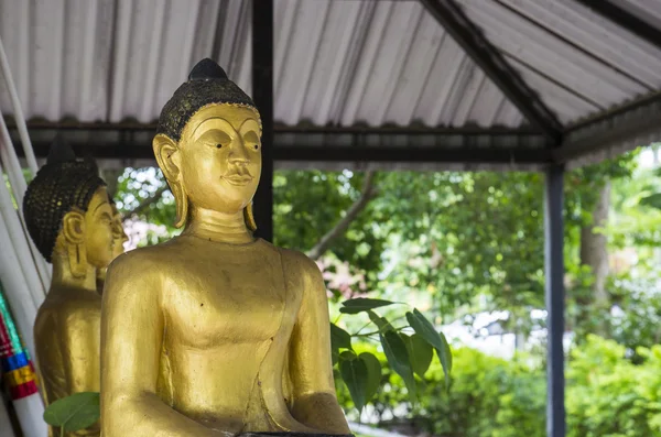 Estátua de buda de ouro — Fotografia de Stock