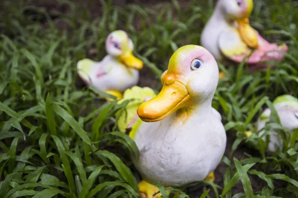 Estatueta de pato — Fotografia de Stock