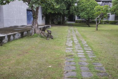 yol üzerinde çim bahçesinde