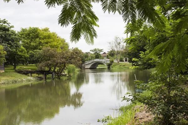 Small bridge across the lake — Stock Photo, Image