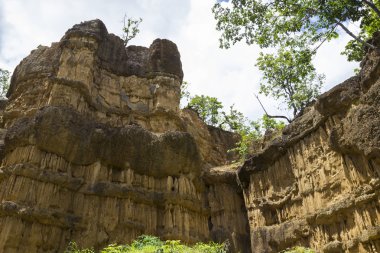 Büyük Kanyon Ulusal Parkı