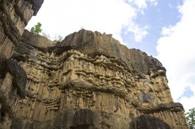 Büyük Kanyon Ulusal Parkı