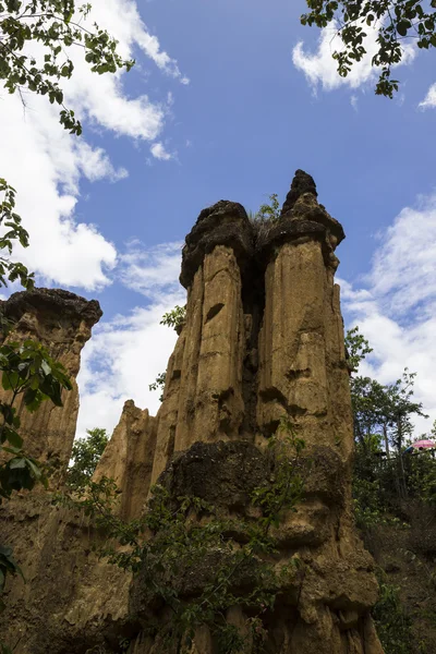 Cañón en el parque nacional —  Fotos de Stock