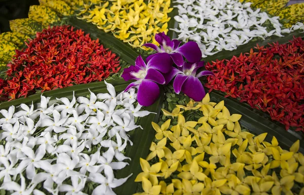 Ixora petal decor art — Stock Photo, Image