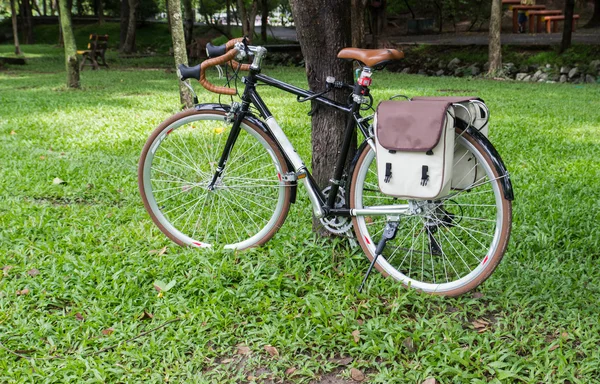 De fiets in het park — Stockfoto