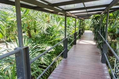 kapalı Park ahşap köprü