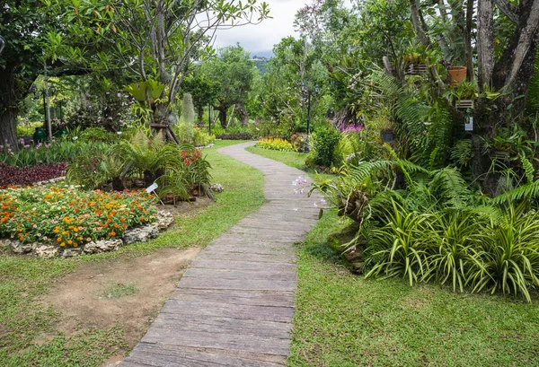 Путь в тропическом саду — стоковое фото