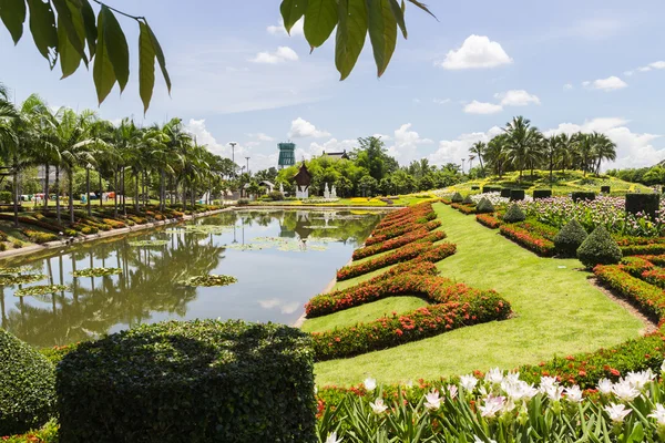 The pond in the garden — Stock Photo, Image