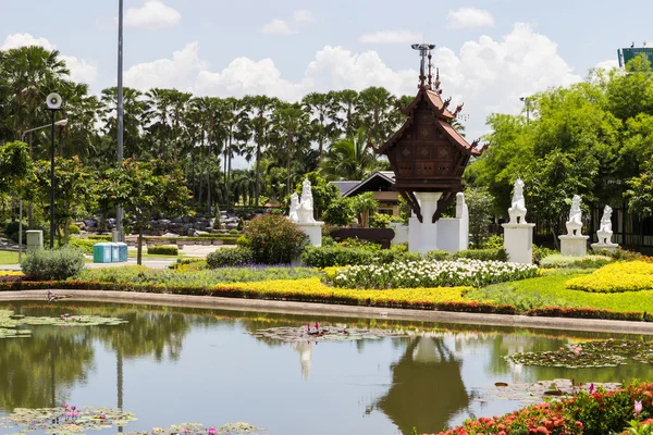 The pond in the garden — Stock Photo, Image