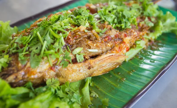 Ikan goreng dengan saus pedas — Stok Foto
