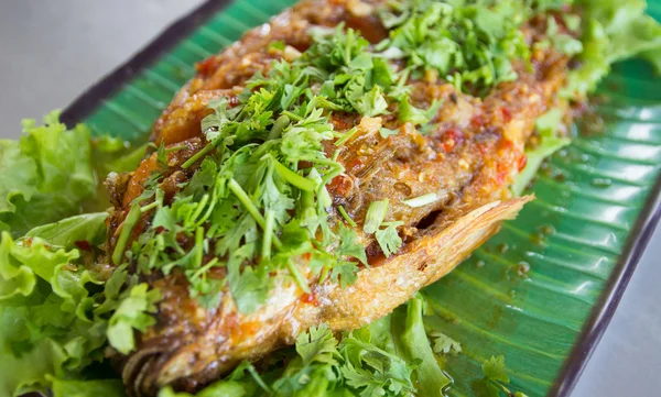 Poisson frit avec sauce épicée — Photo