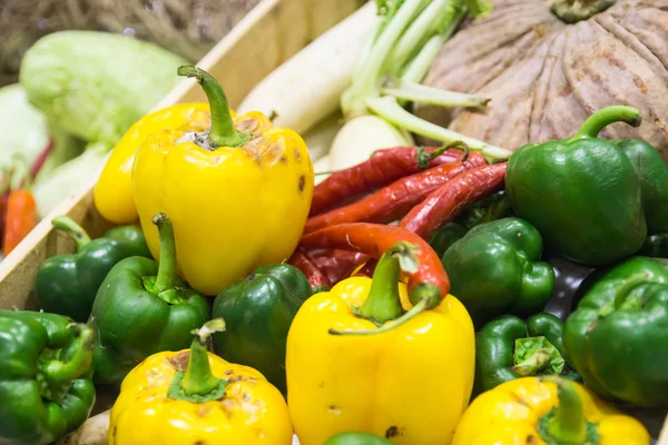 Zöld és sárga paprika édes és chili — Stock Fotó