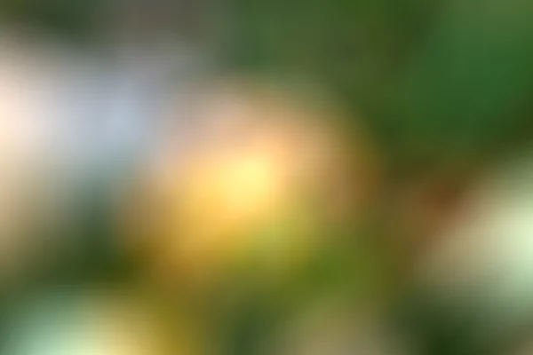 A imagem desfocada de tom verde, branco e amarelo abstrato — Fotografia de Stock