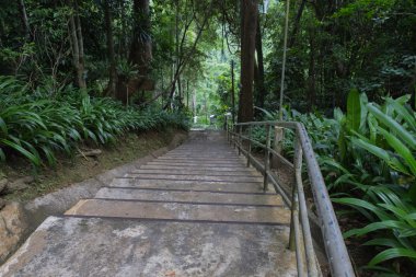 yokuş yukarı gitmek için merdiven