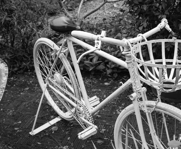 Bicicleta branca decoração no jardim — Fotografia de Stock