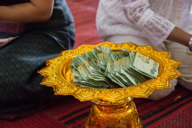 Yirmi Bahtı Tayland banknot bir tepsi