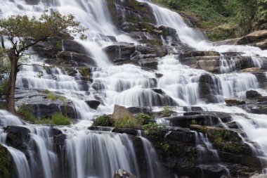 Ulusal parkta şelale