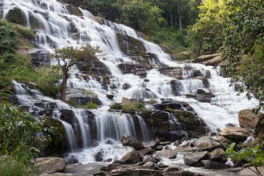 Ulusal parkta şelale