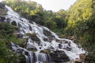 Ulusal parkta şelale