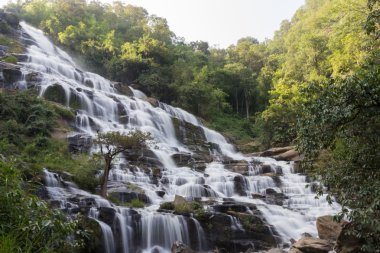 Ulusal parkta şelale
