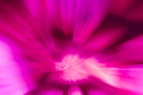 Cor rosa e roxo tom movimento desfoque ilustração resumo — Fotografia de Stock
